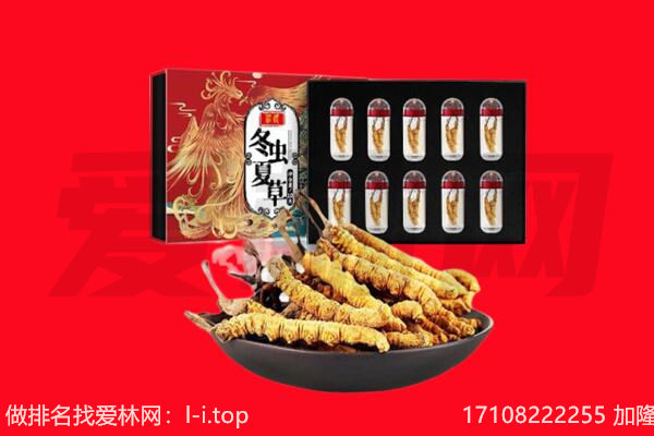 恩施回收虫草.jpg